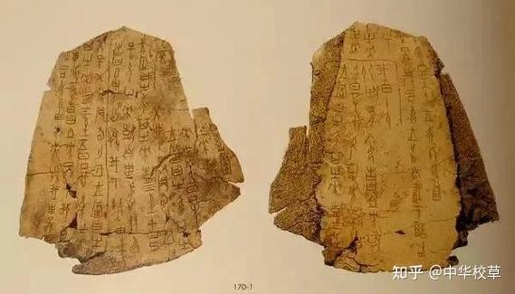 甲骨文的起源100字