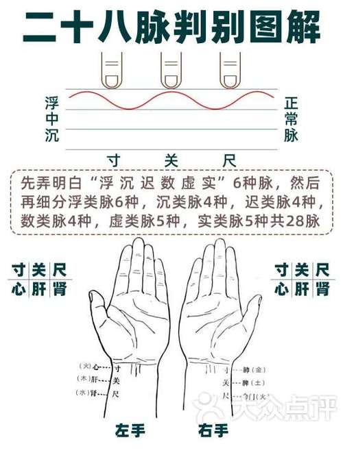 打七寸代表什么数字
