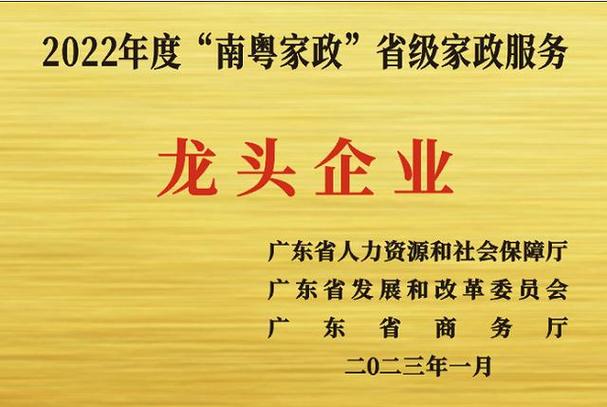 家政上市公司龙头股