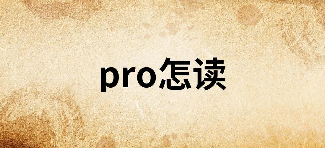 pro中文读音怎么读
