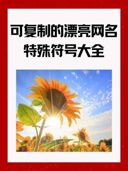 特殊qq昵称带符号截图2
