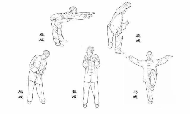 五禽戏口令完整版