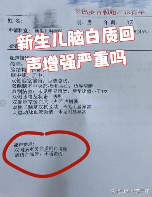 感觉自己说话有回声到脑部