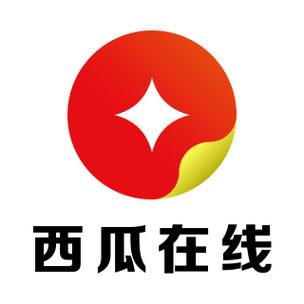 西瓜老版本4.0