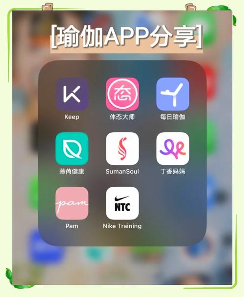 easyoga瑜伽工具