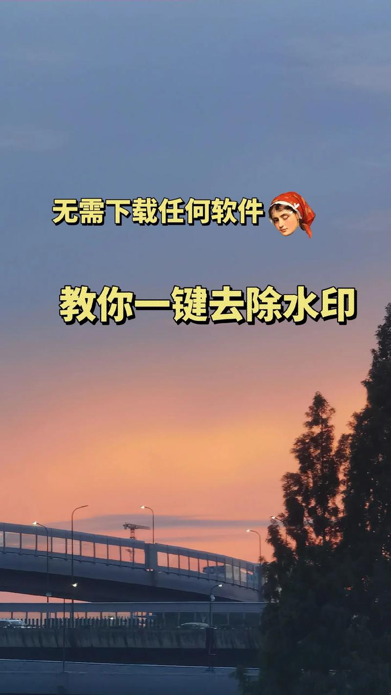 无痕去水印软件