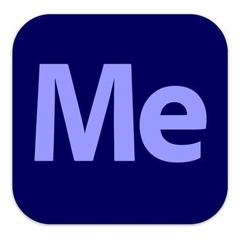 ME行业版APP安装