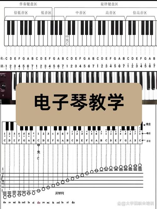 怎样学电子琴