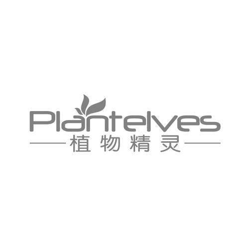 精灵植物