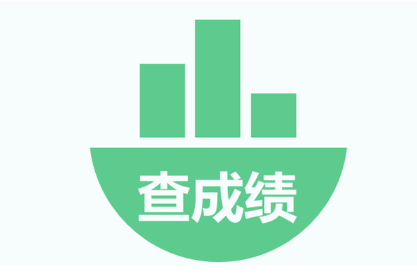 学生端成绩查询