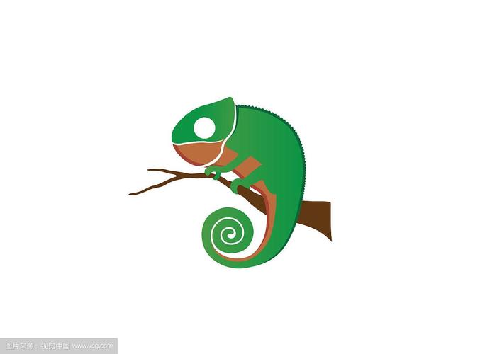 变色龙优质课一等奖