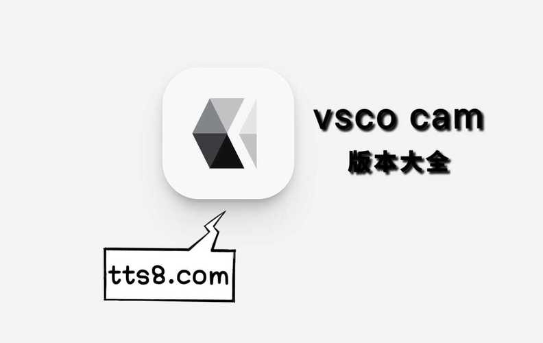 vsco破解中文版