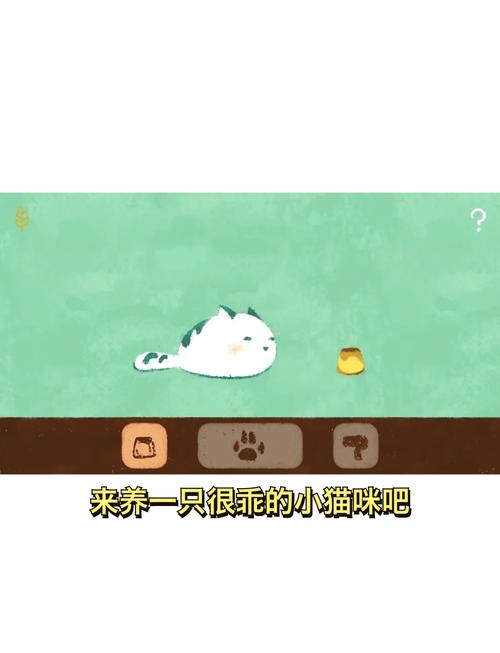 爱猫物语宠物店怎么