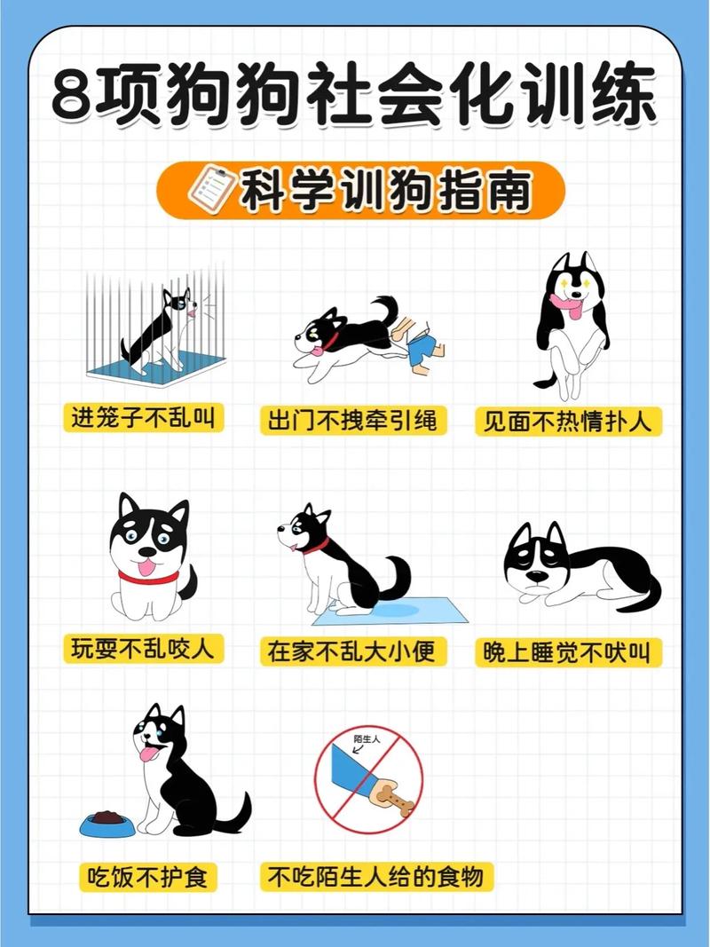 训狗的方法大全免费