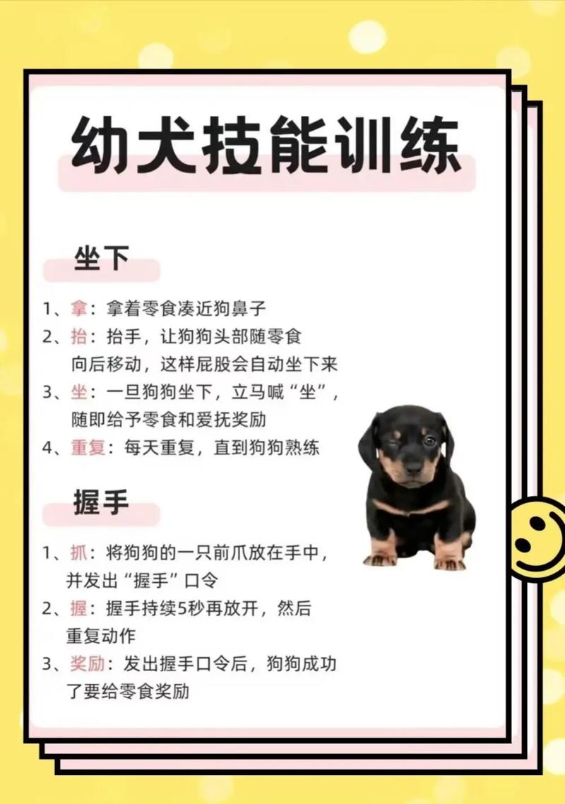 狗狗技能训练50个