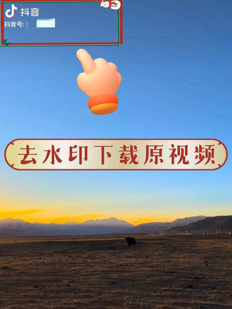 视频无水印