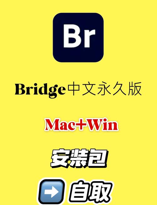BUD游戏正版
