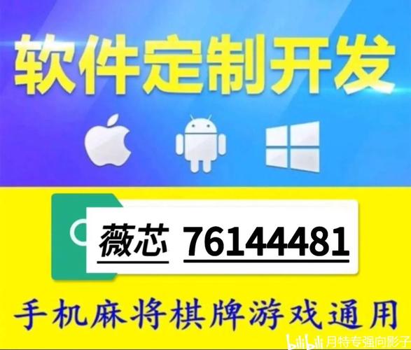 微乐透视插件