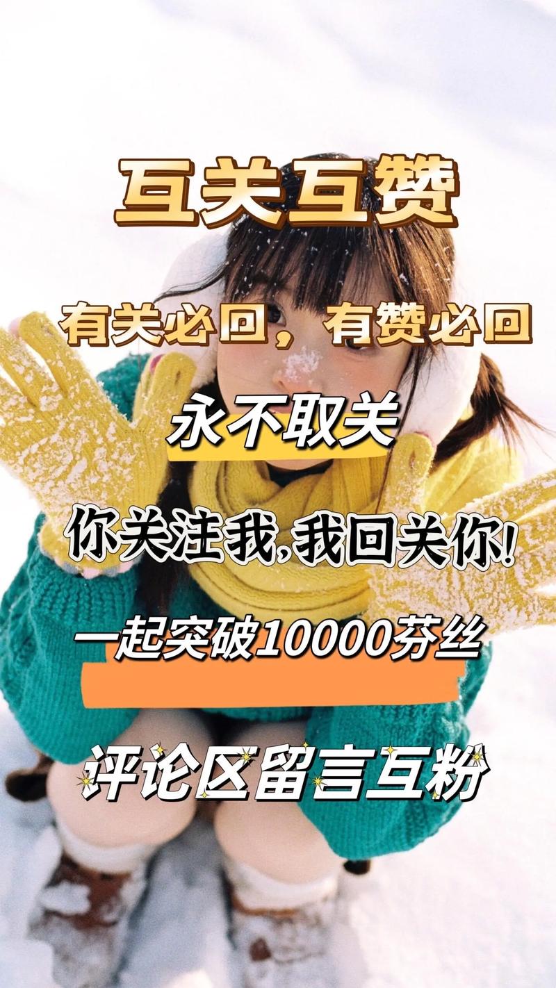 快手互粉互赞评论器
