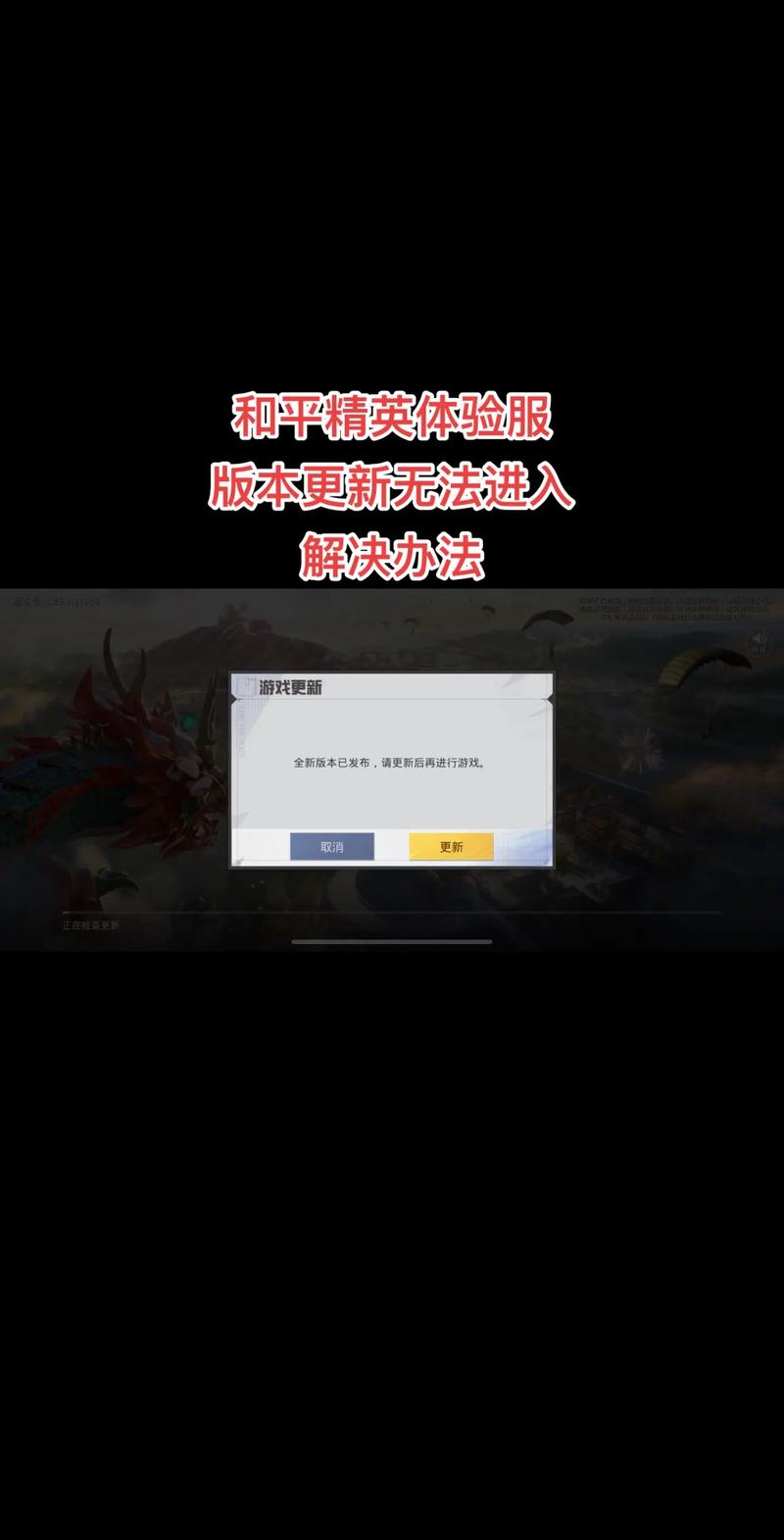 和平精英体验服无法安装