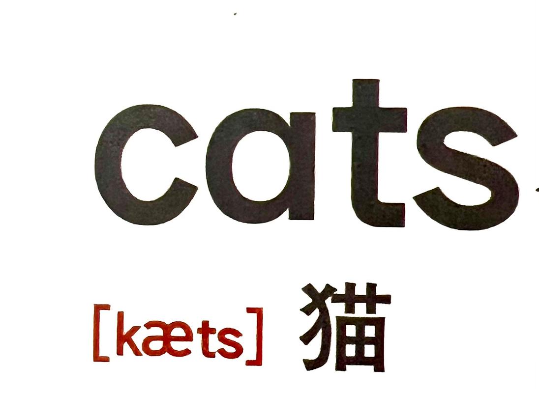 cats国际版最新版