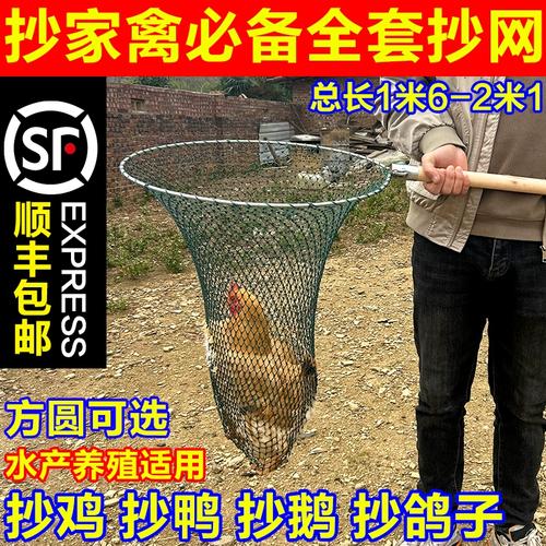 新款户外捉鸡神器