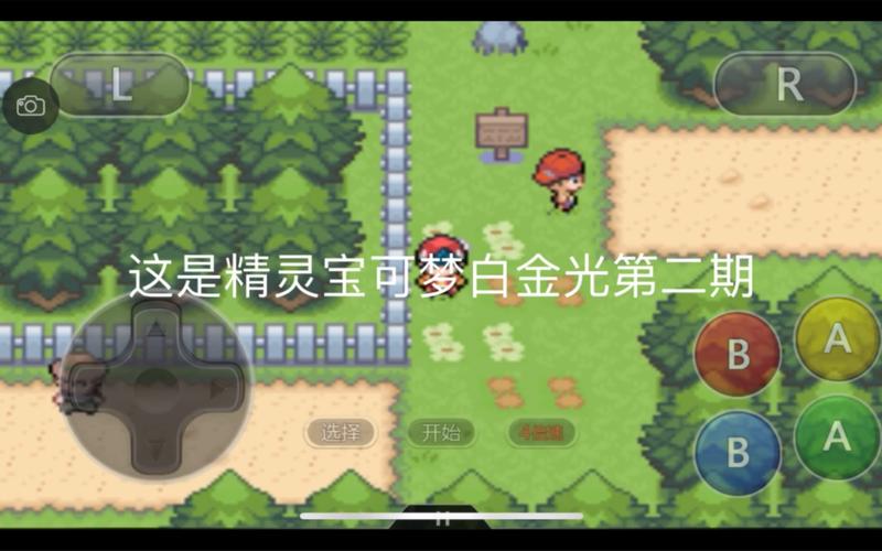 口袋妖怪白金光2汉化版