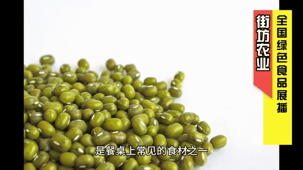 绿豆动态壁纸老版本怎样