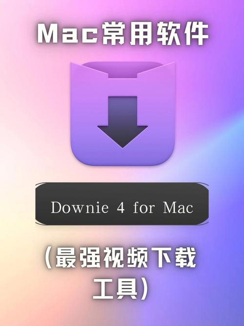 中文版