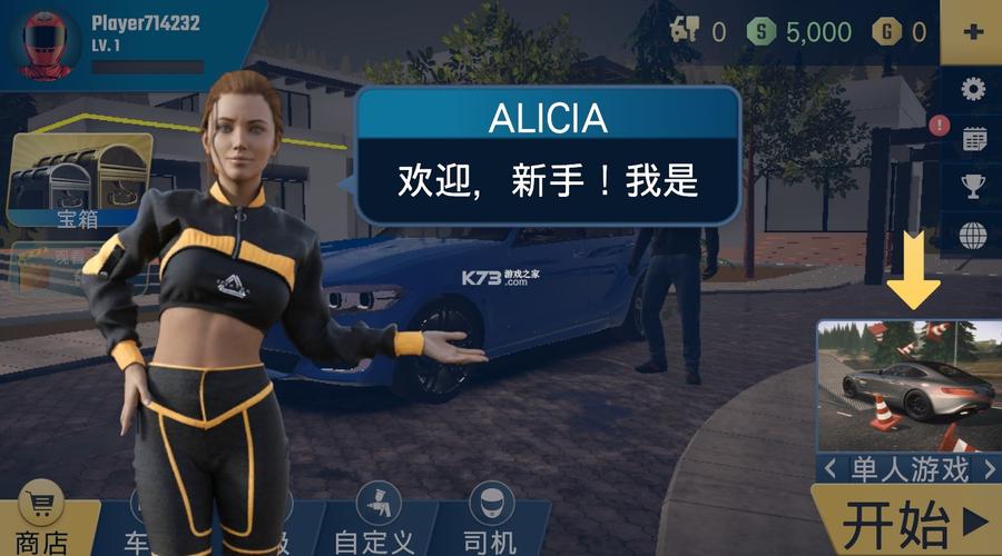 停车大师2汉化版安装