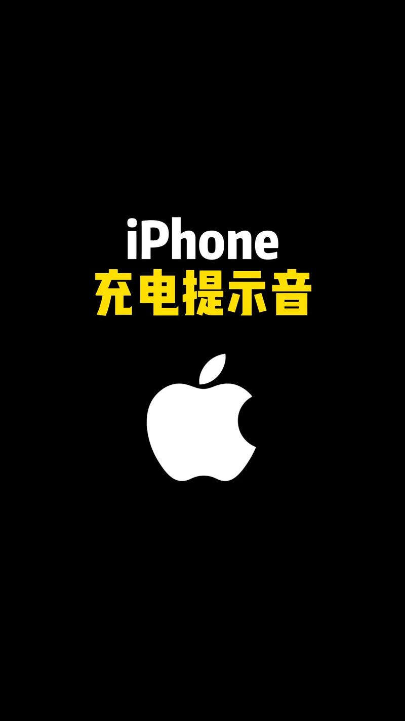 开始充电提示音