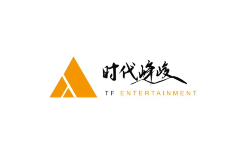 时代峰峻软件叫什么