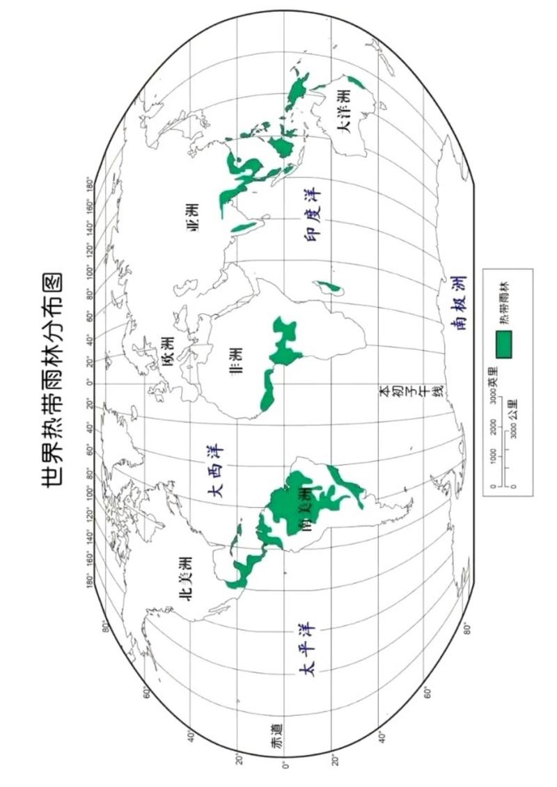 世界雨林分布图