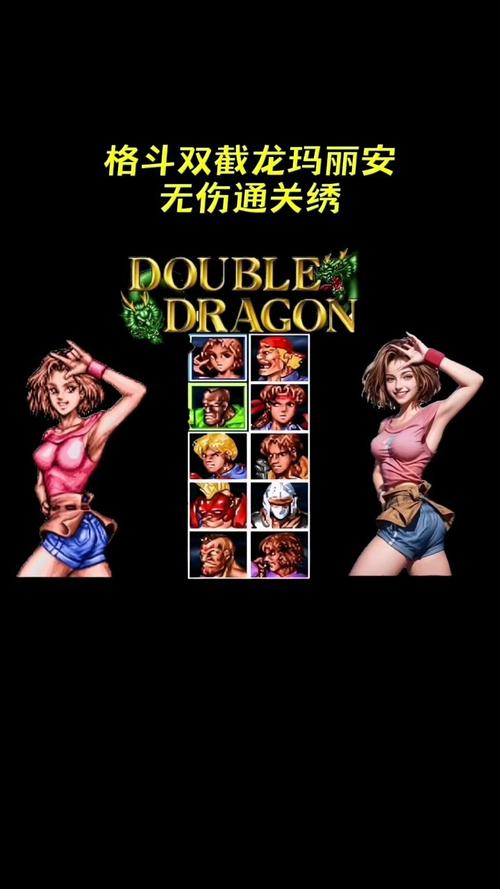 双截龙单机手机版