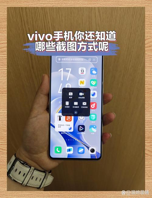 vivo手机如何国外app
