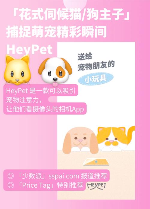 pet宠物怎么读