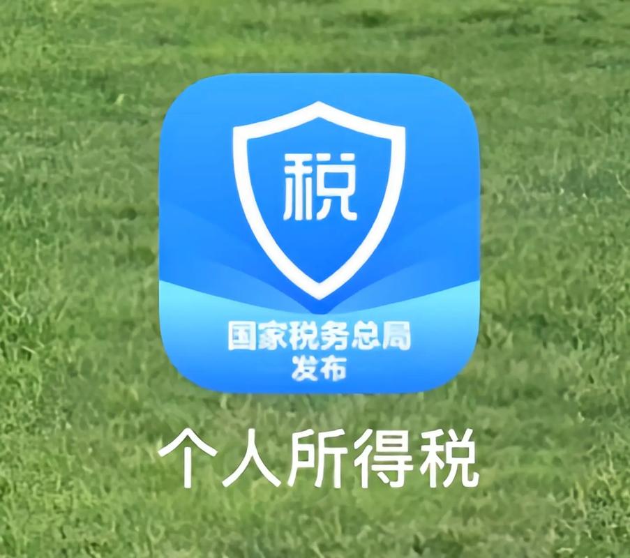 个人所得税app安卓版安装