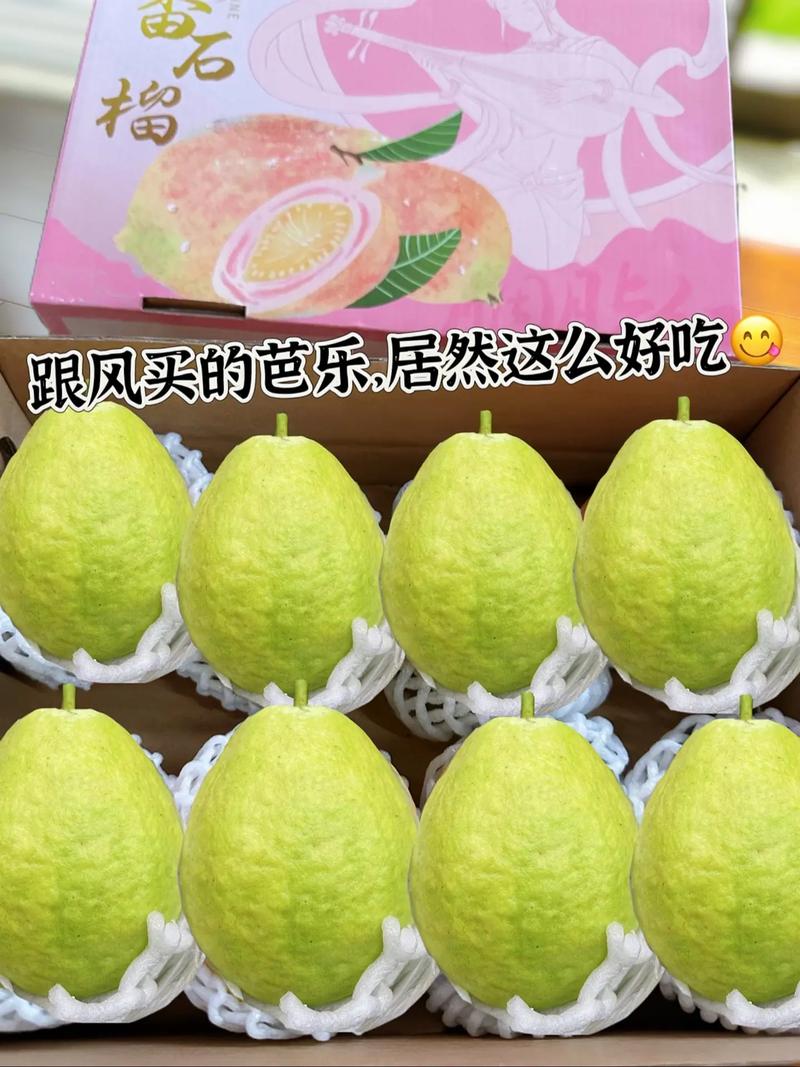 芭乐榴莲官方网站最新版本更新内容