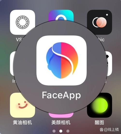 face me破解版