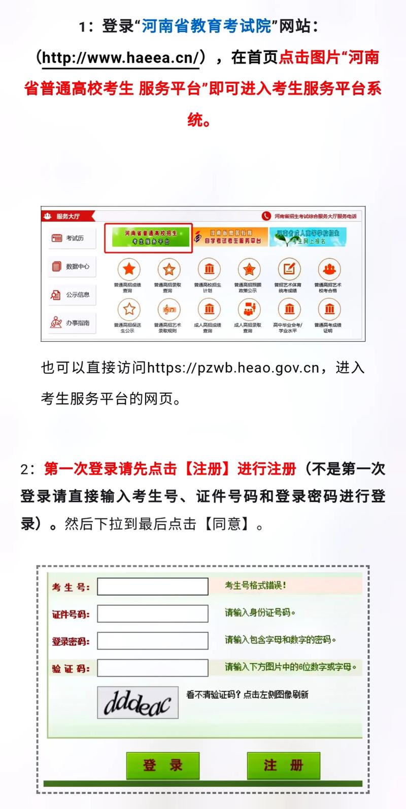 河南报考网站入口官网2024