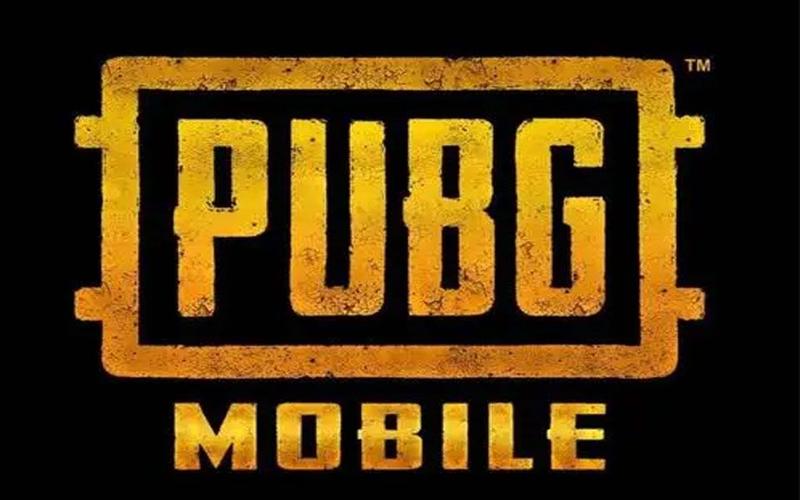 KEVIN PUBG辅助