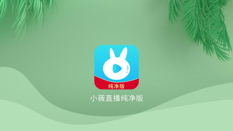 小薇直播2024港澳自建频道码6位详解