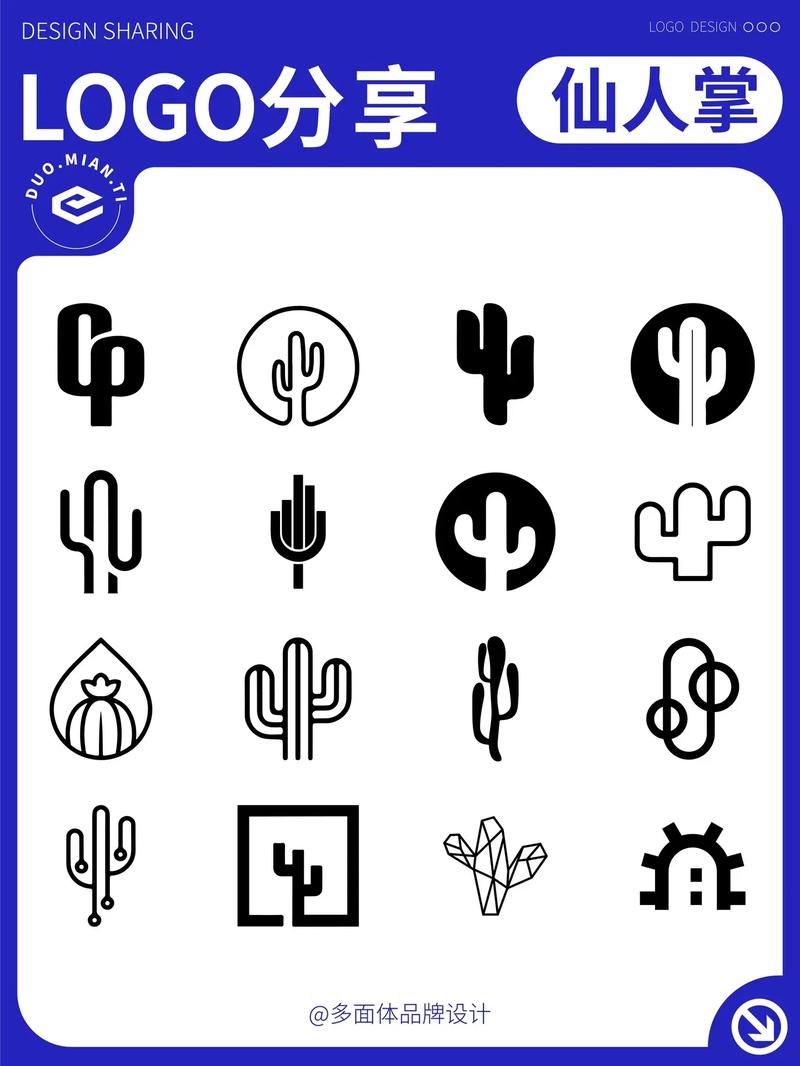 仙人掌视频下载app