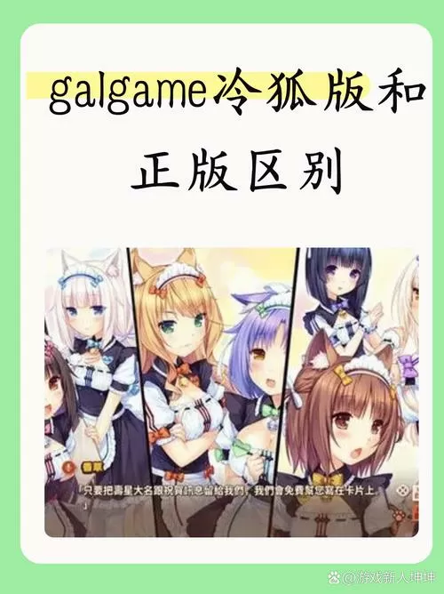 galgame冷狐直装柚子社