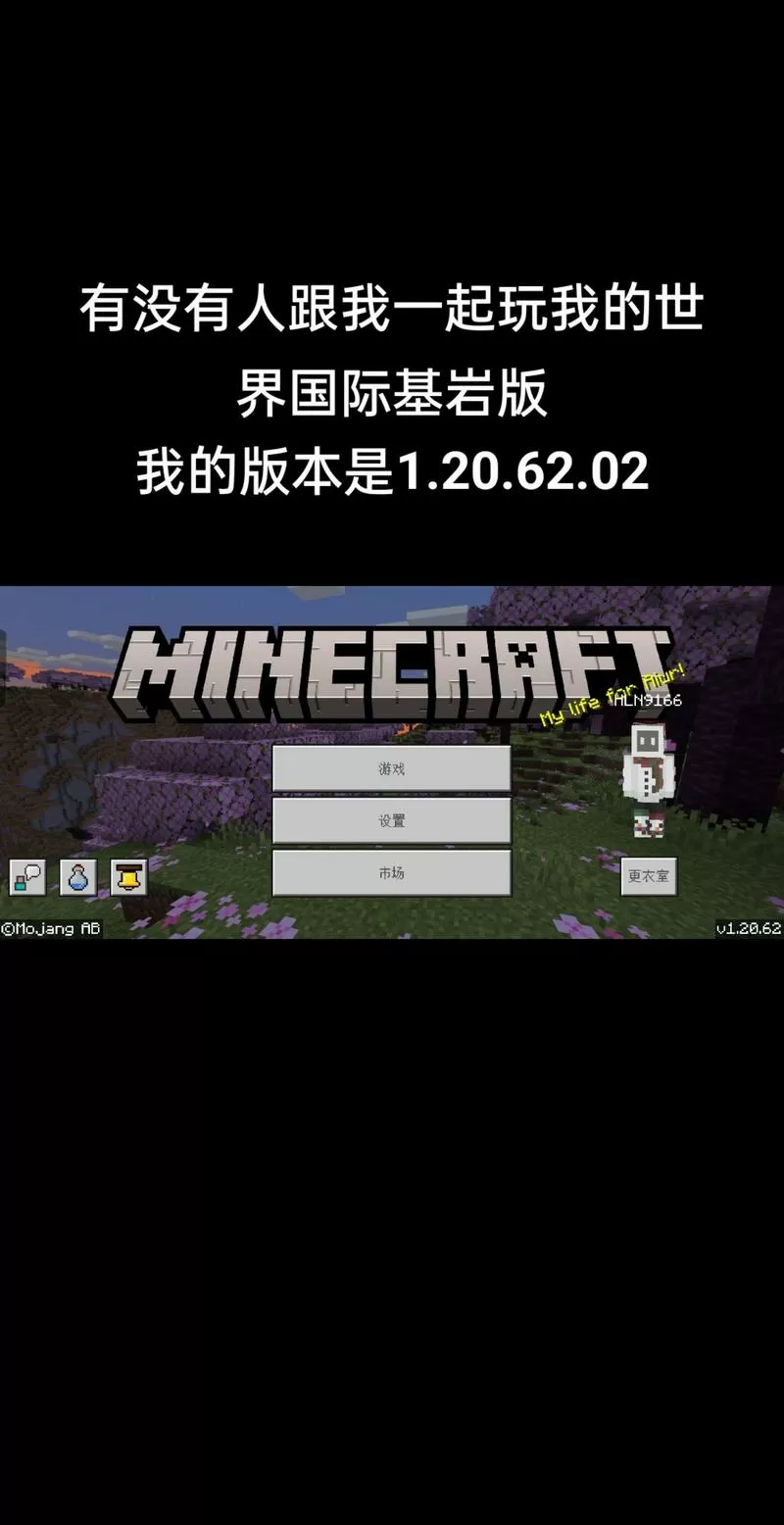 mc基岩版1.13