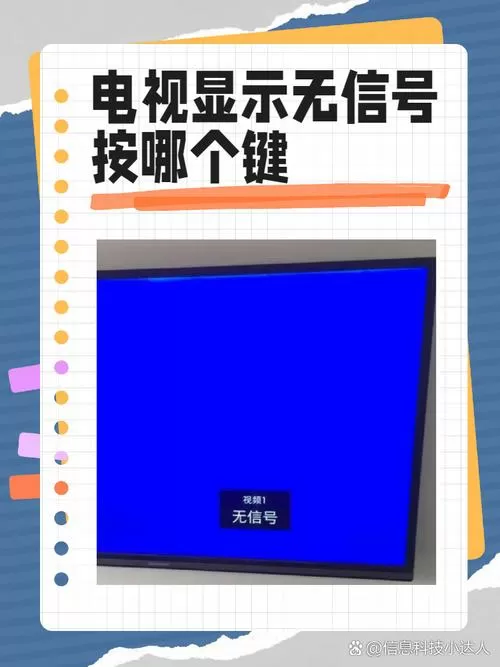 没有网络可以看电视吗