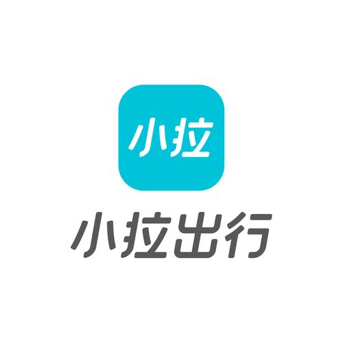 小拉出行可以自动抢单吗
