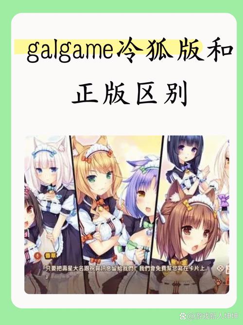 galgame冷狐直装永久vip