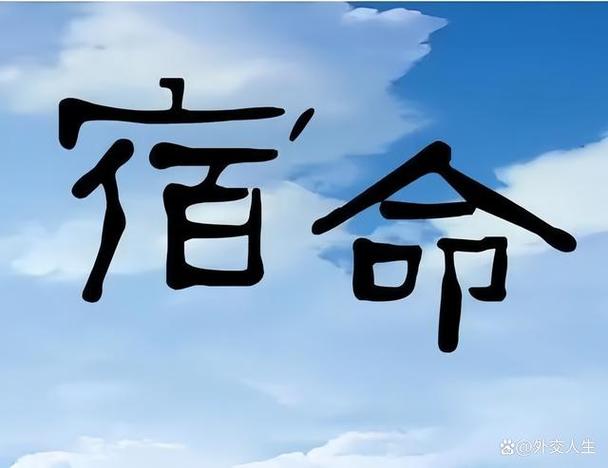 宿命论安卓 宿命论安卓