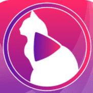 色猫APP直播免费。免广告版